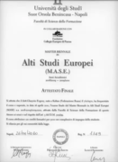 Диплом Магистра Европейских Исследований Европейского колледжа Пармы