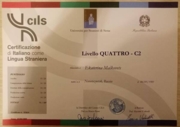 Сертификат CILS Quattro C2