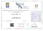 Certificato CILS