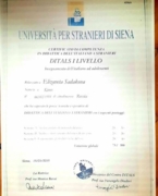 Международный сертификат DITALS , г.Сиена, Италия.