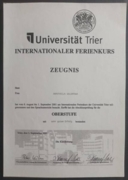 Свидетельство о прохождении интернационального курса немецкого языка для германистов и преподавателей немецкого языка в университете г. Трир (Германия) и о сдаче заключительного экзамена на Obestufe (C1-C2) с результатом "sehr gut" (отлично)
