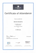 Сертификат о прохождении обучения в стэй-кампусе Лондонского образовательного учреждения международного уровня