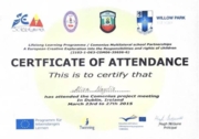 Сертификат международной программы обмена “Comenius” - встреча в Дублине, Ирландия, 2015г.