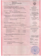 Приложение к диплому Иркутского Государственного Лингвистического Университета с отличием