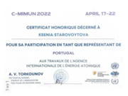 Сертификат участия в модели ООН им. В. Чуркина МГИМО г.Москва, французский комитет МАГАТЭ