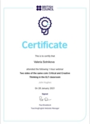 Сертификат о прохождении вебинара