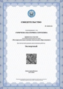 Сертификат прохождения МЦКО для учителей
