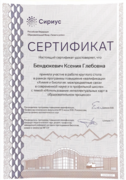 Сертификат, курс повышения квалификации Сириус