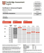Сертификат  CAE results