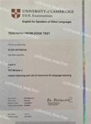 Сертификат Teaching Knowledge Test Module 2: Lesson planning and use of resources for language teaching, 2011 г.