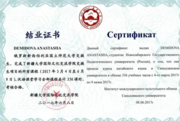 Сертификат об окончании курсов Синьцзянский университет