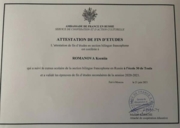 Диплом о защите посольского проекта