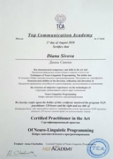 Сертификат НЛП Сертифицированный практик