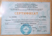 Сертификат "Система работы учителя по подготовке учащихся к ГИА", г. Челябинск, 2018 год