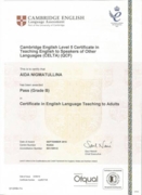 CELTA международная квалификация в области преподавания английского языка Cambridge