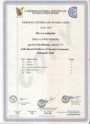 Сертификат GCE Advanced level certificate