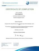 IB certificate Cat 2 Business