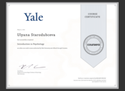 online non-credit course authorized by Yale University and offered through Coursera