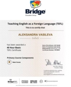 Международный сертификат преподавателя TEFL