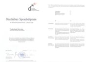 Диплом, подтверждающий владение немецким языком на уровне С1 (DSD II)