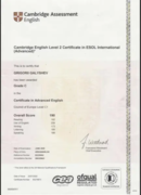 Certificate in advanced english