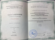 Удостоверение. Духовный код русской культуры в образовательном пространстве