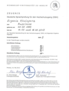 Сертификат DSH-3 2013
