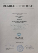 Диплом бакалавра Международного образца, Университет Прикладных наук г. Миккели, МАМК, Финляндия, 2015