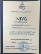 Сертификат о прохождении языковых курсов: Шведский язык, А1