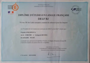 Международный сертификат владения французским языком DELF B2 (продвинутый уровень)