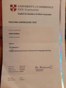 Сертификат, подтверждающий наличие методик преподавания иностранного языка