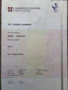 Сертификат TKT YOUNG LEARNERS