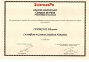 Сертификат о прохождении стажировки в SciencesPo
