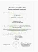 Сертификат об успешном завершении курса чешского языка на уровень B2