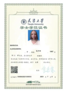 Диплом бакалавра на китайском языке