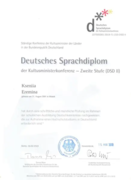 Deutsches Sprachdiplom II (на уровень C1)