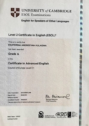 CAE (Cambridge Certificate in Advanced English)