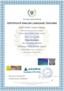 TEFL-TESOL сертификат