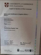 Entry Level Certificate in English (ESOL)