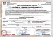 Diplome de l'enseignement superieur