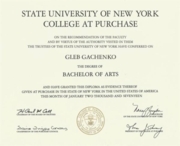 BFA diploma