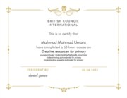 Сертификат. BRITISH COUNCIL INTERNATIONAL