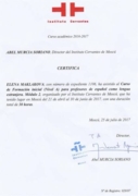 Сертификат: Curso de Formacion Inicial de Profesores de ELE (modulo 2)