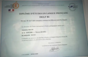 Сертификат DELF