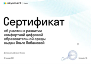 Сертификат об участии в развитии цифровой образовательной среды