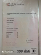 Сертификат FCE