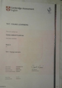 Сертификат международного образца TKT Young Learners