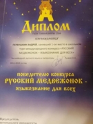 Диплом победителя конкурса "Русский медвежонок - языкознание для всех" 2011-2012 уч. год.