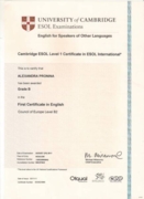 Международный сертификат по английскому языку FCE