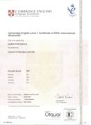 Сертификат BEC (бизнес английский)